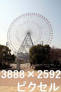 26
