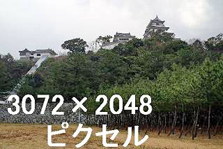 23