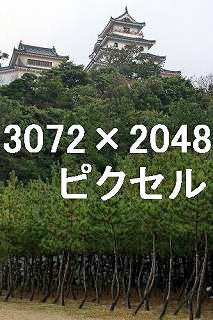 27