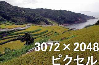 29