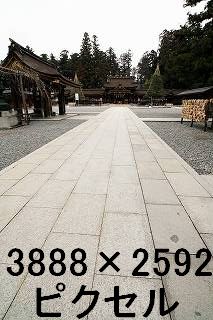 39