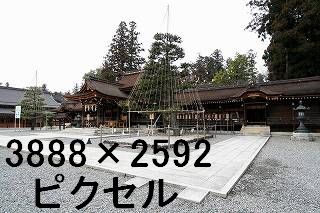 44