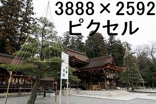 46