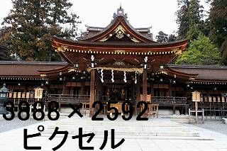48