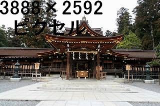 49