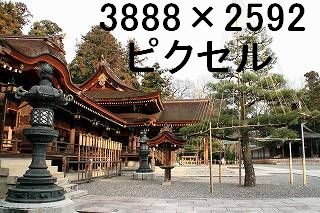 66