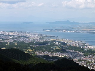 26