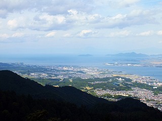 31