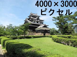 46