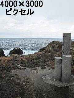 29