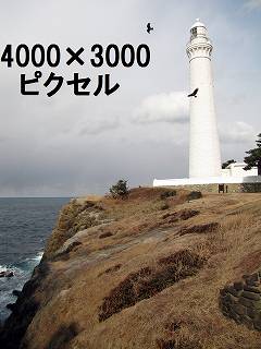 66