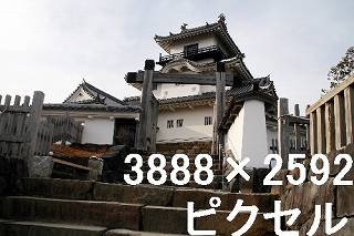 21