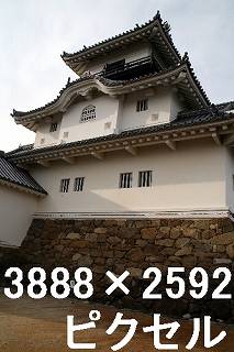 29