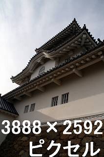 30
