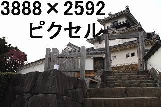 43