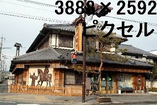 49