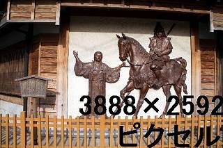 51