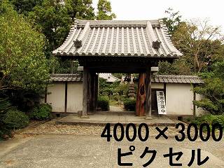 40