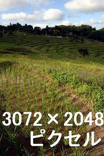 70