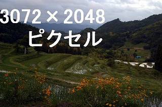 73