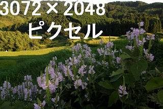 78