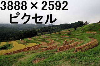 80