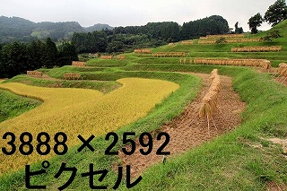 82