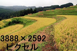 85