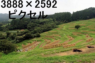 95