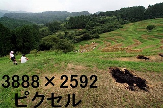 96
