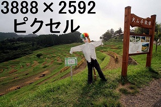 99
