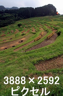 100