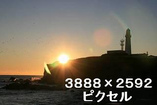 41