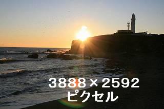 43