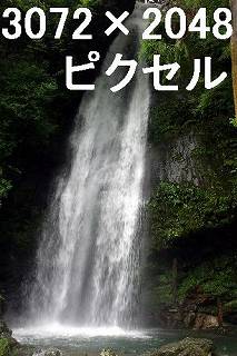61