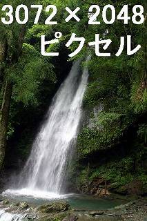 64