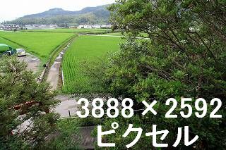 26