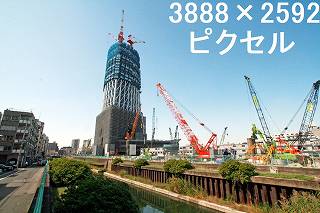 36