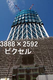 44