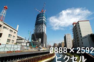 51
