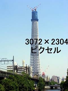 83