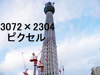 131
