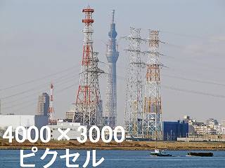 194