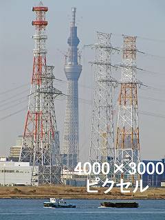195