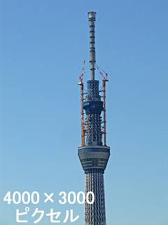 204