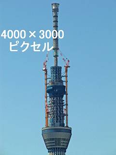 205
