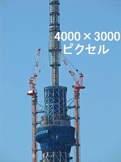 207
