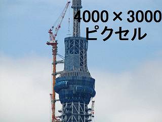 221