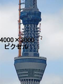 223