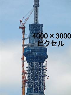 224